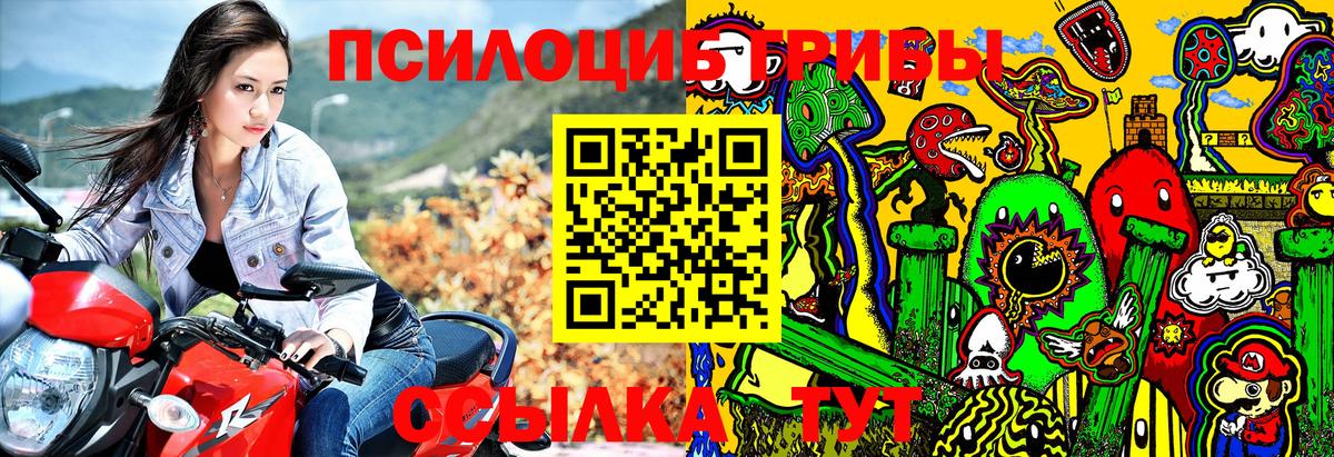 Псилоцибиновые грибы Magic Shrooms  Вход с VPN  Галлюциногенные грибы Psilocybe  Ярославль 